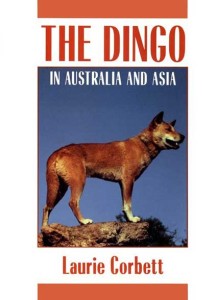 The Dingo by Laurie Corbett